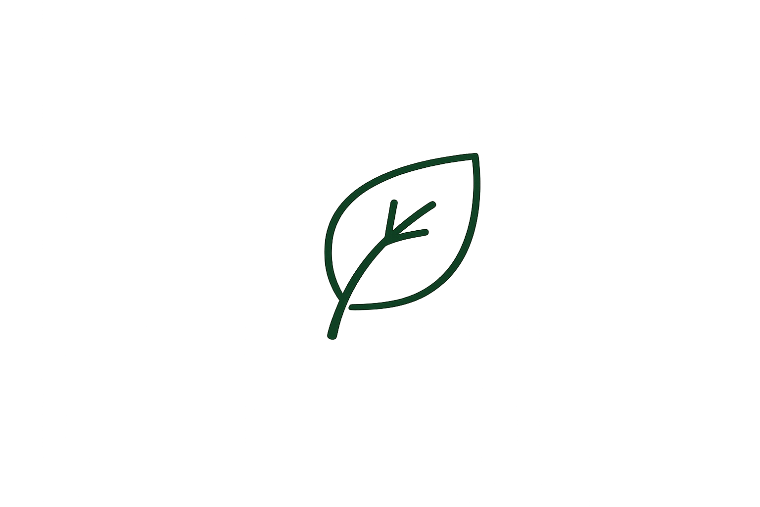Vegetation Management